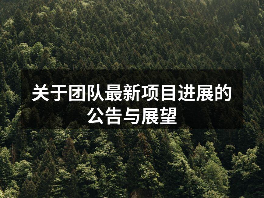 团队正在进行品牌视觉识别设计