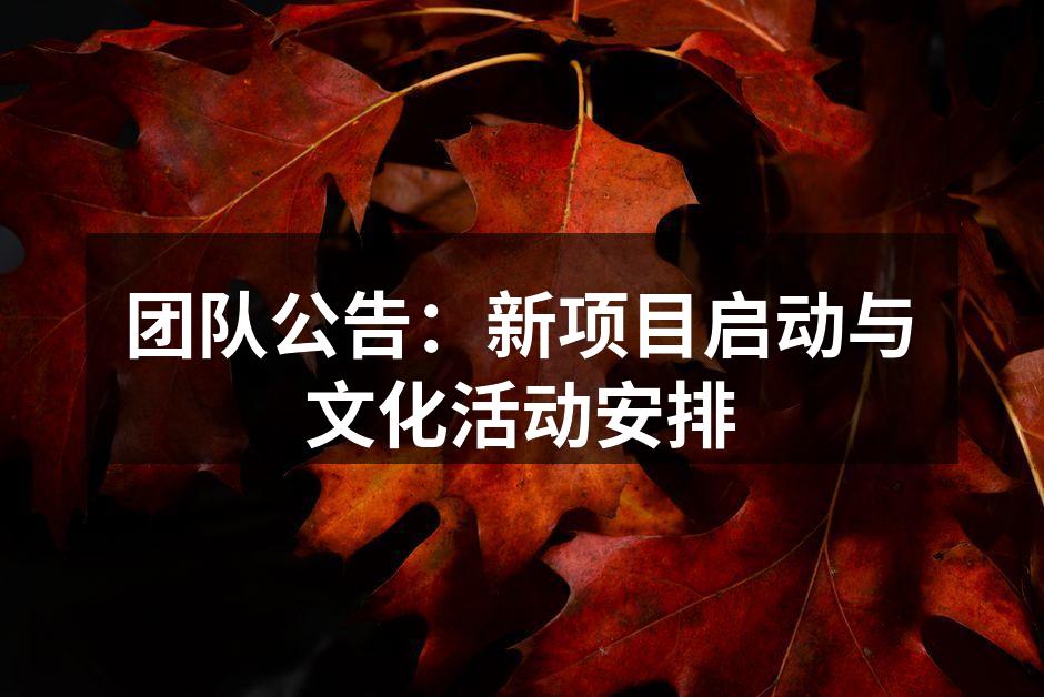 团队合作,共同创造奇迹